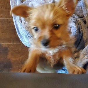 Meet your Posher, Lisa